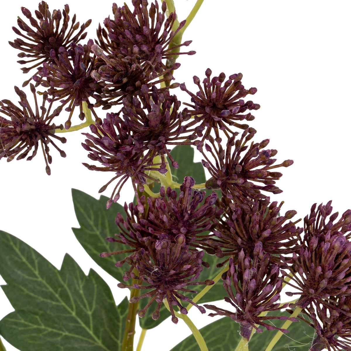 Purple French Meadow Spray – alternate view 5