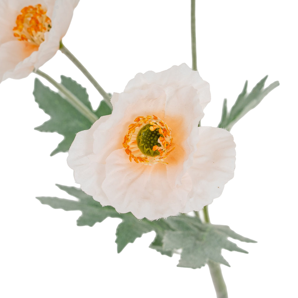 Cream Papaver Poppy Spray – alternate view 3