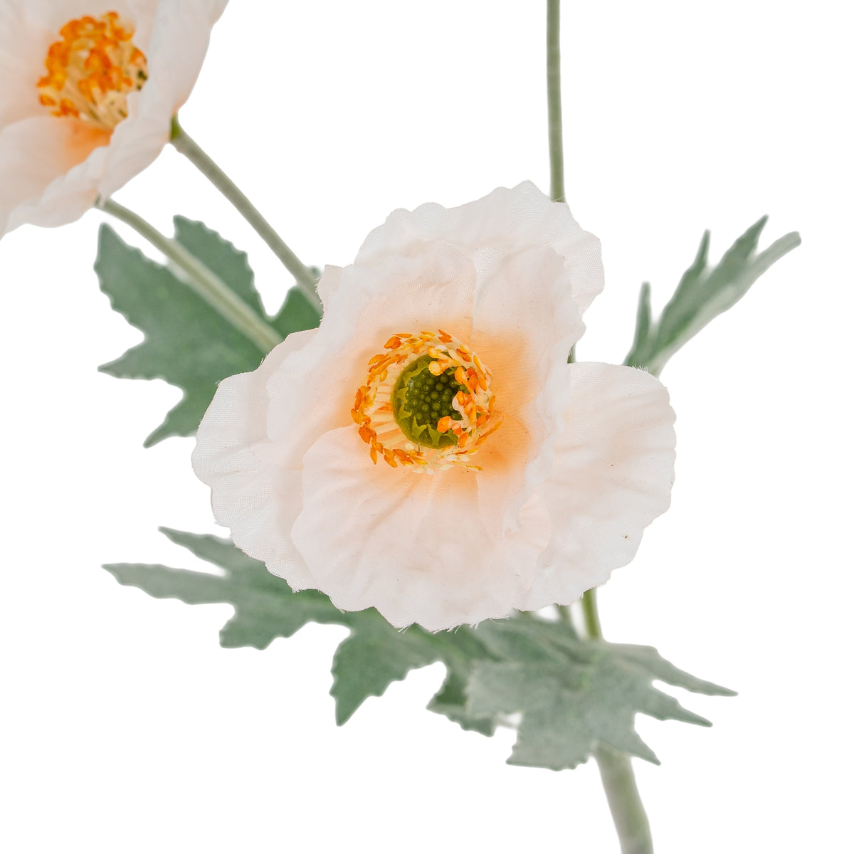 Cream Papaver Poppy Spray – alternate view 3