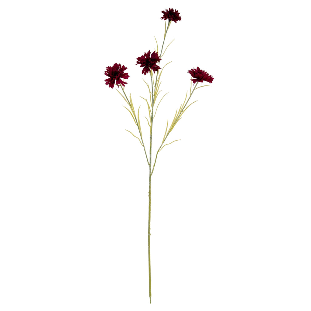 Burgundy Cornflower Stem – alternate view 2