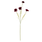Burgundy Cornflower Stem – alternate view 2