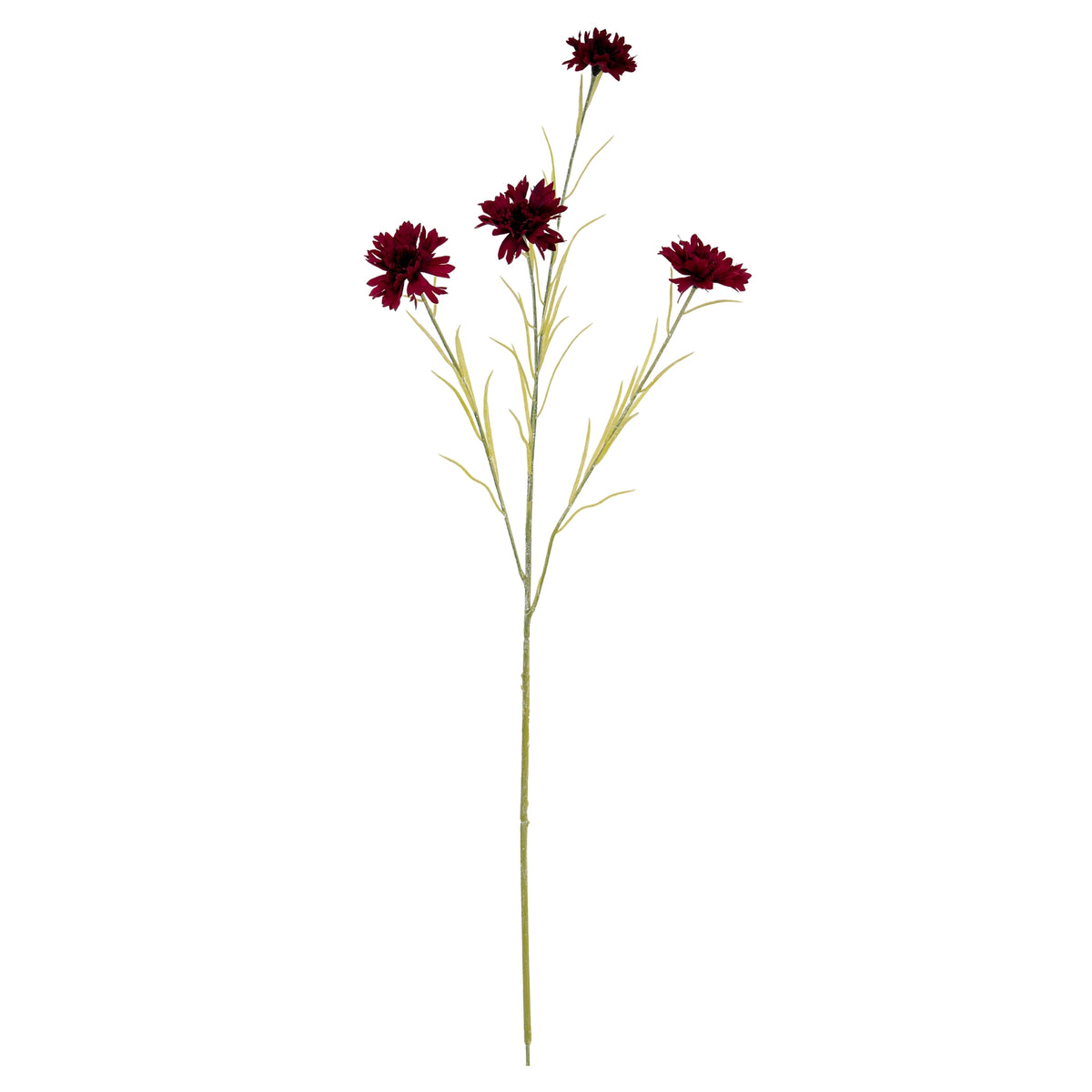 Burgundy Cornflower Stem – alternate view 2