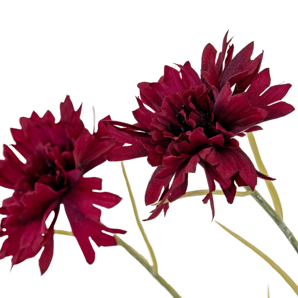 Burgundy Cornflower Stem – alternate view 3