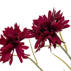 Burgundy Cornflower Stem – alternate view 3