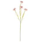 Pink Cornflower Stem – alternate view 2