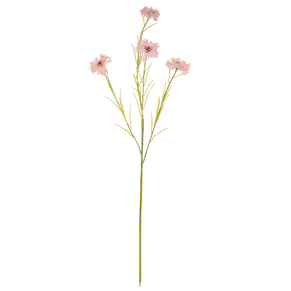 Pink Cornflower Stem – alternate view 2