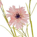 Pink Cornflower Stem – alternate view 3