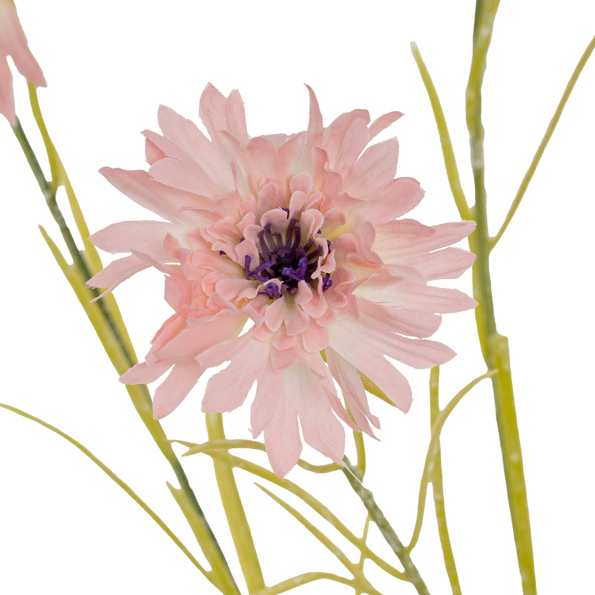 Pink Cornflower Stem – alternate view 3