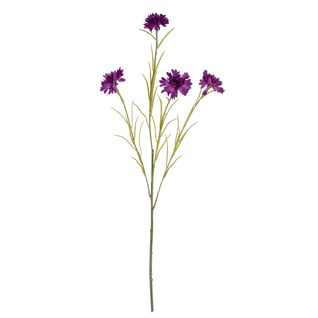 Purple Cornflower Stem – alternate view 2