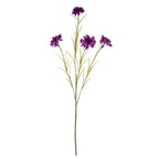Purple Cornflower Stem – alternate view 2