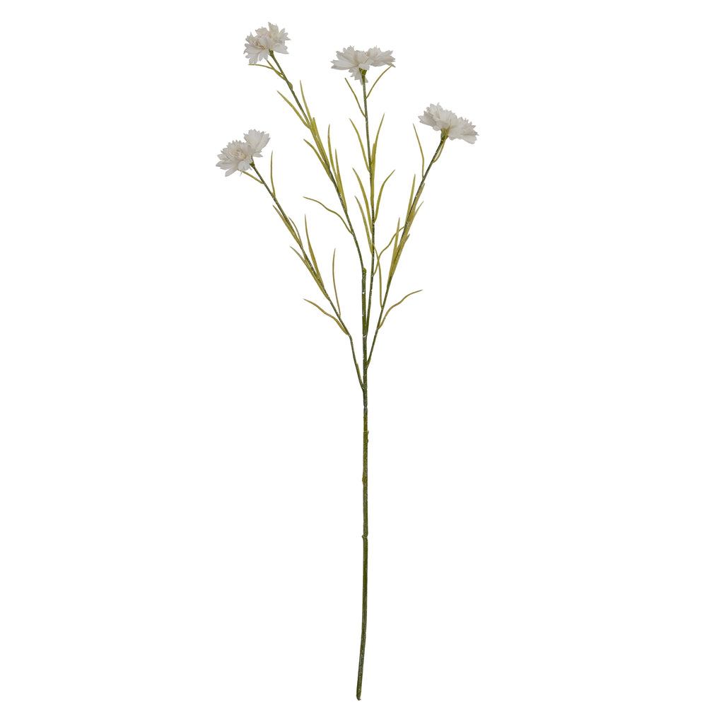 White Cornflower Stem – alternate view 2