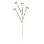 White Cornflower Stem – alternate view 2