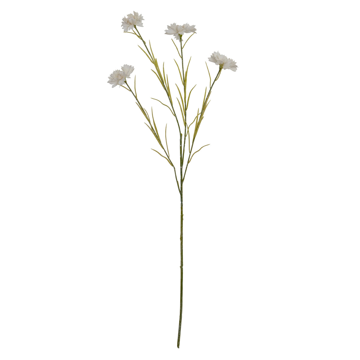 White Cornflower Stem – alternate view 2