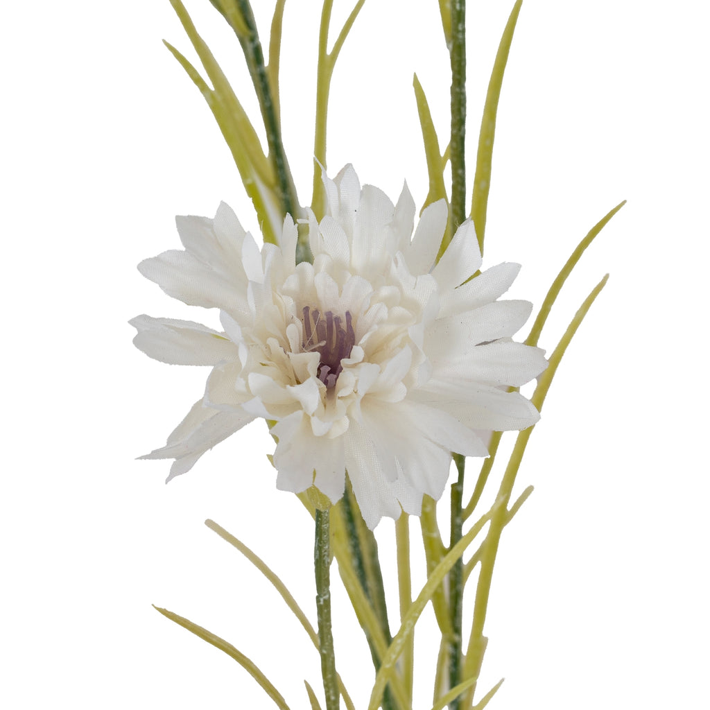 White Cornflower Stem – alternate view 3