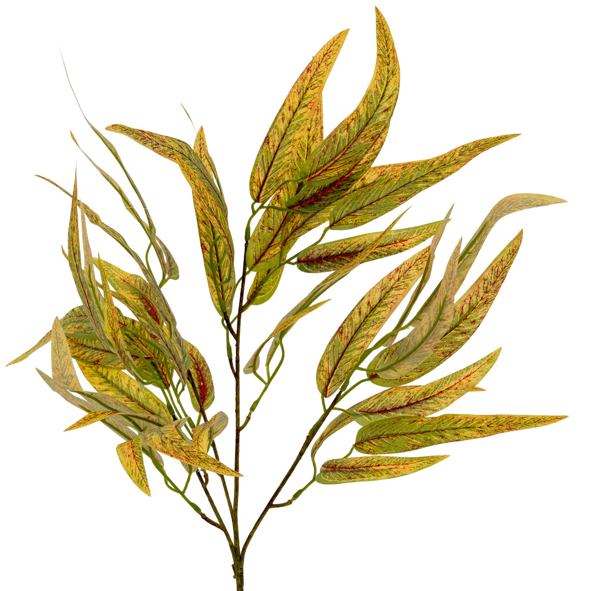 Variegated Long Leaf Eucalyptus Spray – alternate view 2