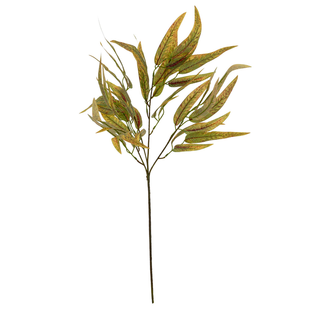 Variegated Long Leaf Eucalyptus Spray – alternate view 3