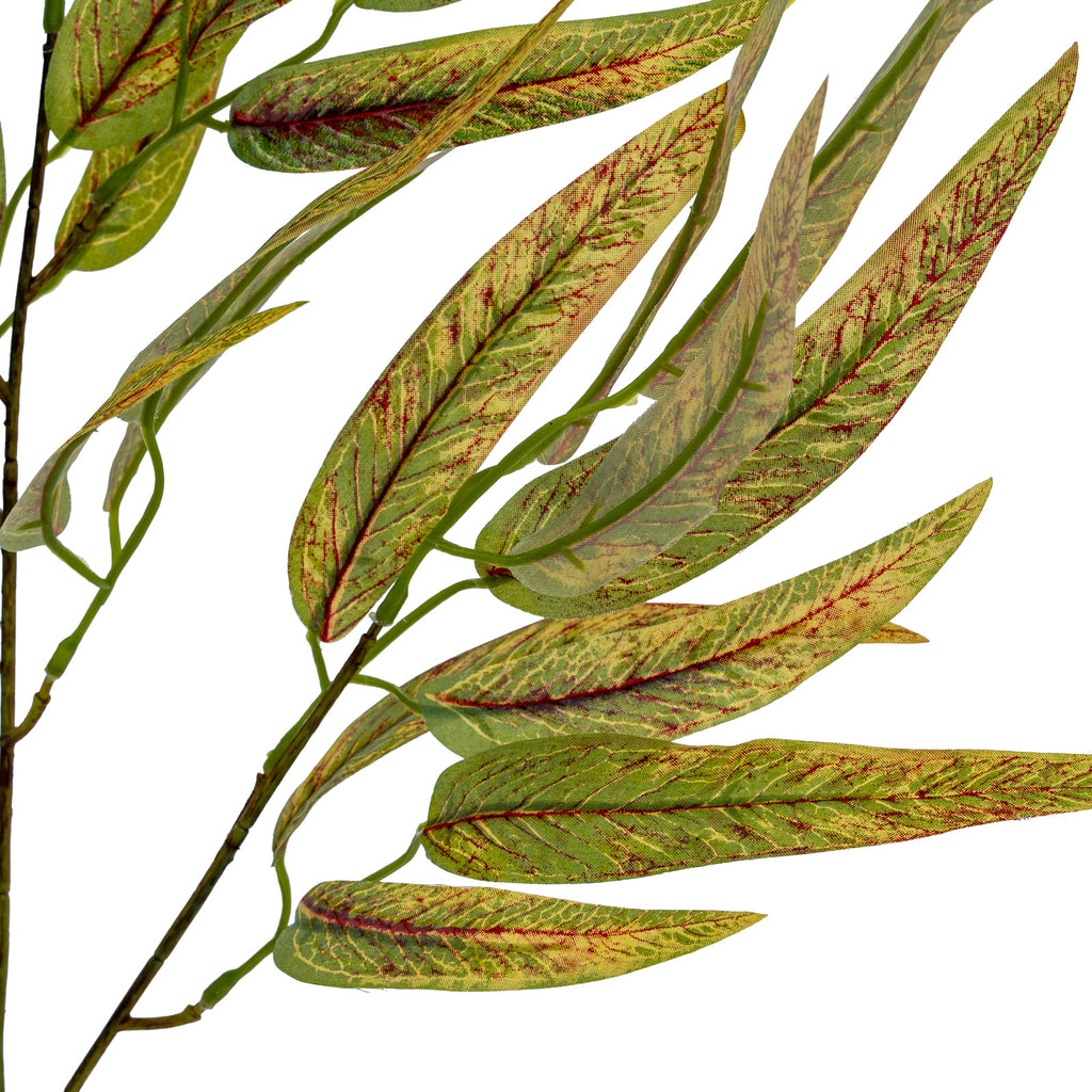 Variegated Long Leaf Eucalyptus Spray – alternate view 4