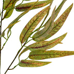 Variegated Long Leaf Eucalyptus Spray – alternate view 4