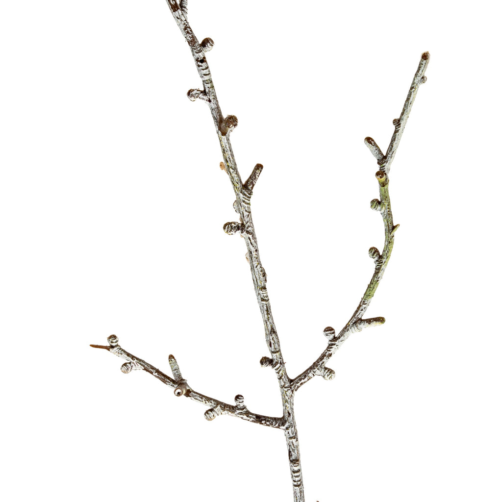 Snowy Winter Woodland Branch – alternate view 2
