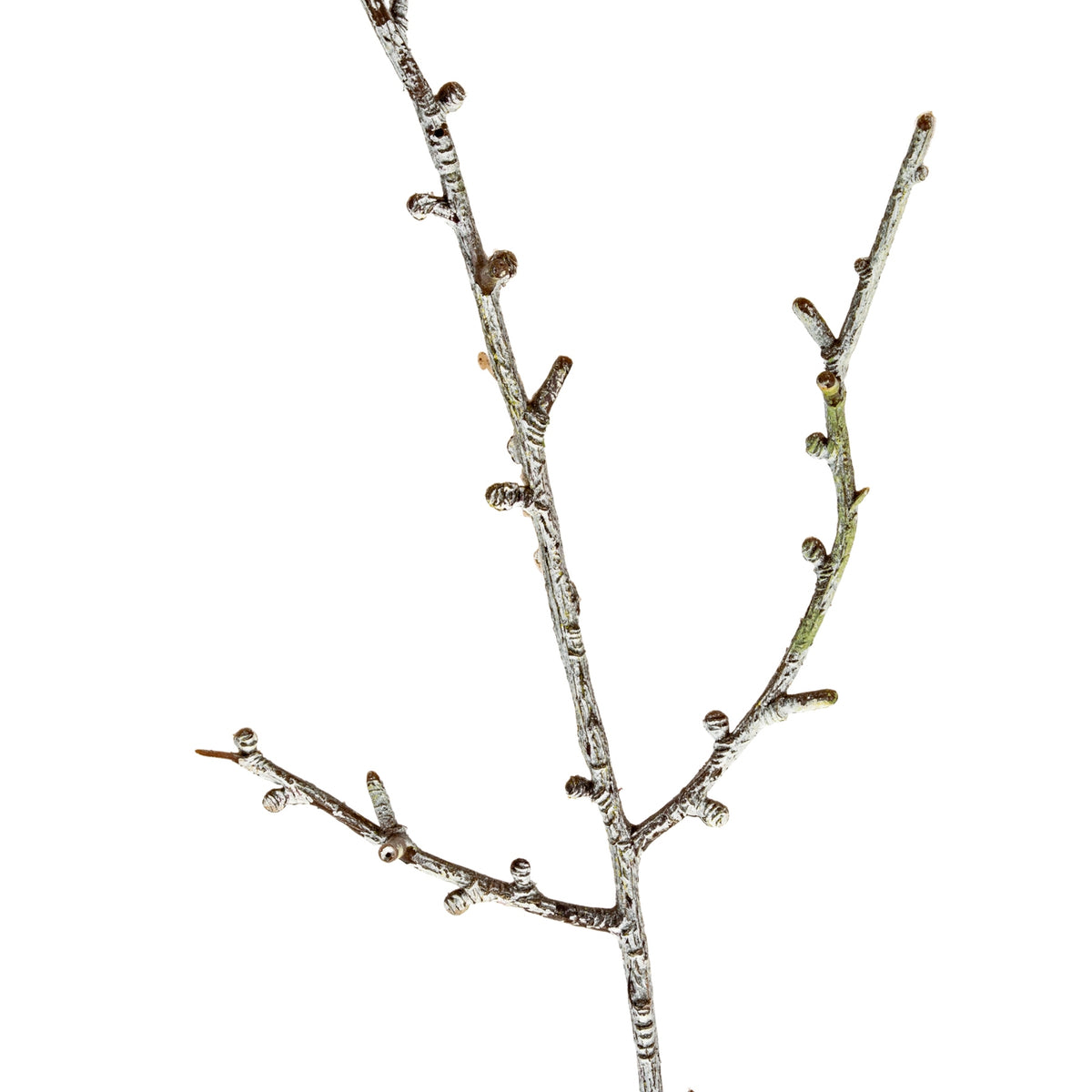 Snowy Winter Woodland Branch – alternate view 2