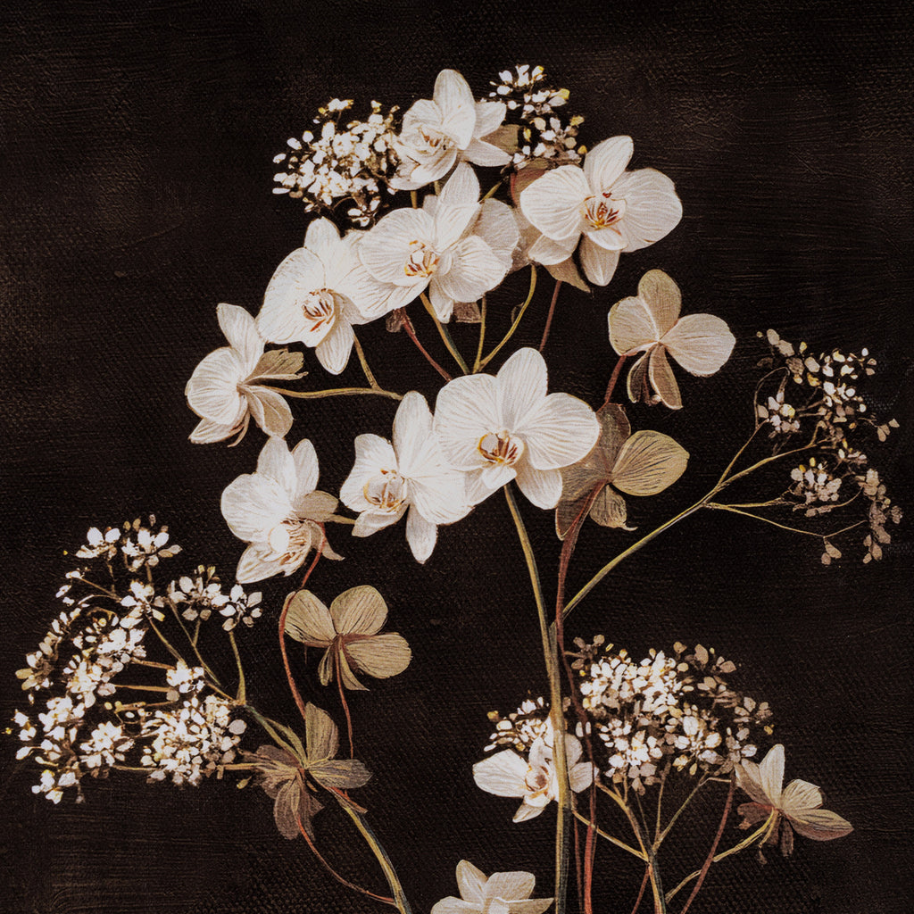 Flora & Fauna Collection Four Botanicals in Classic Frame
