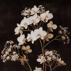 Flora & Fauna Collection Four Botanicals in Classic Frame