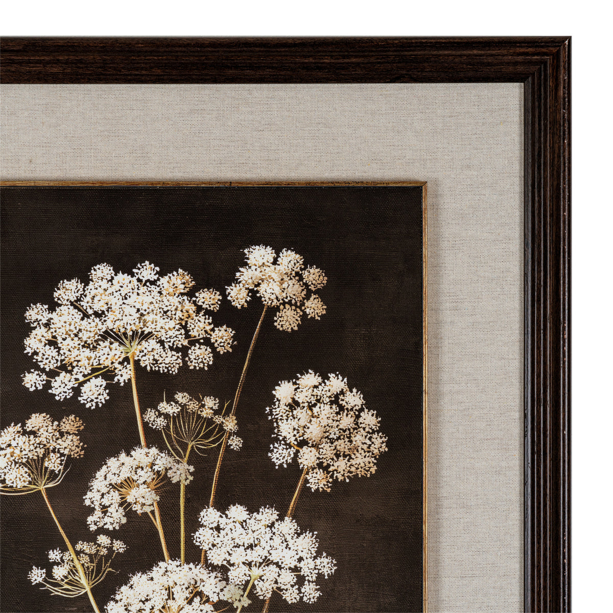 Flora & Fauna Collection Four Botanicals in Classic Frame