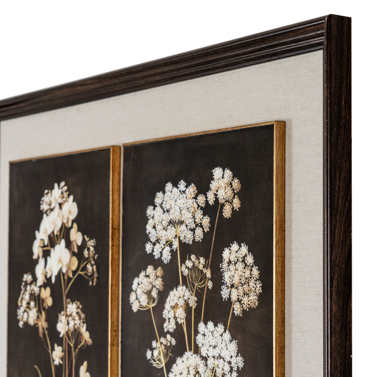 Flora & Fauna Collection Four Botanicals in Classic Frame