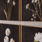 Flora & Fauna Collection Four Botanicals in Classic Frame