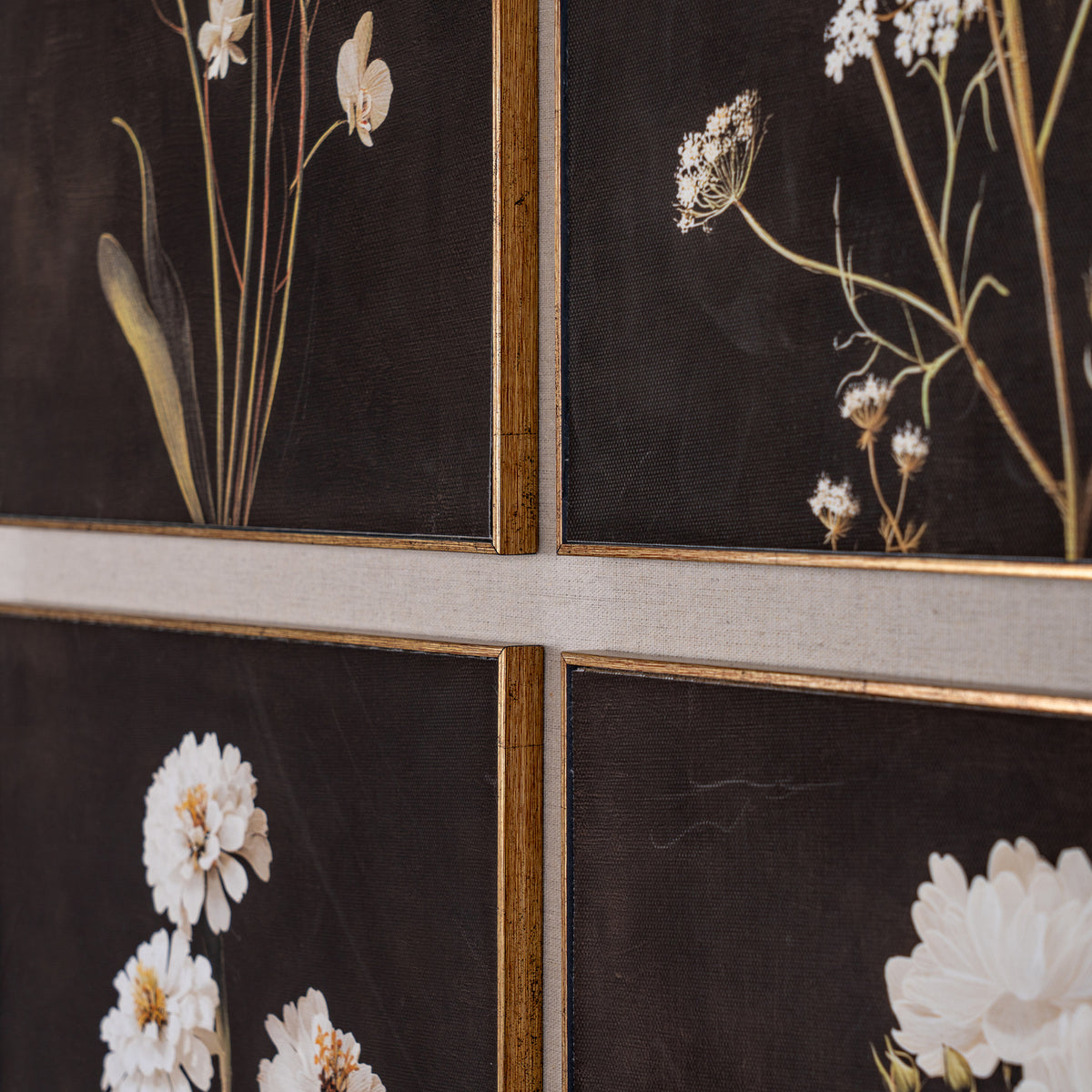 Flora & Fauna Collection Four Botanicals in Classic Frame