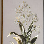 Flora & Fauna Collection White Wildflower on Linen in Frame