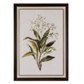 Flora & Fauna Collection White Wildflower on Linen in Frame