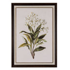 Flora & Fauna Collection White Wildflower on Linen in Frame