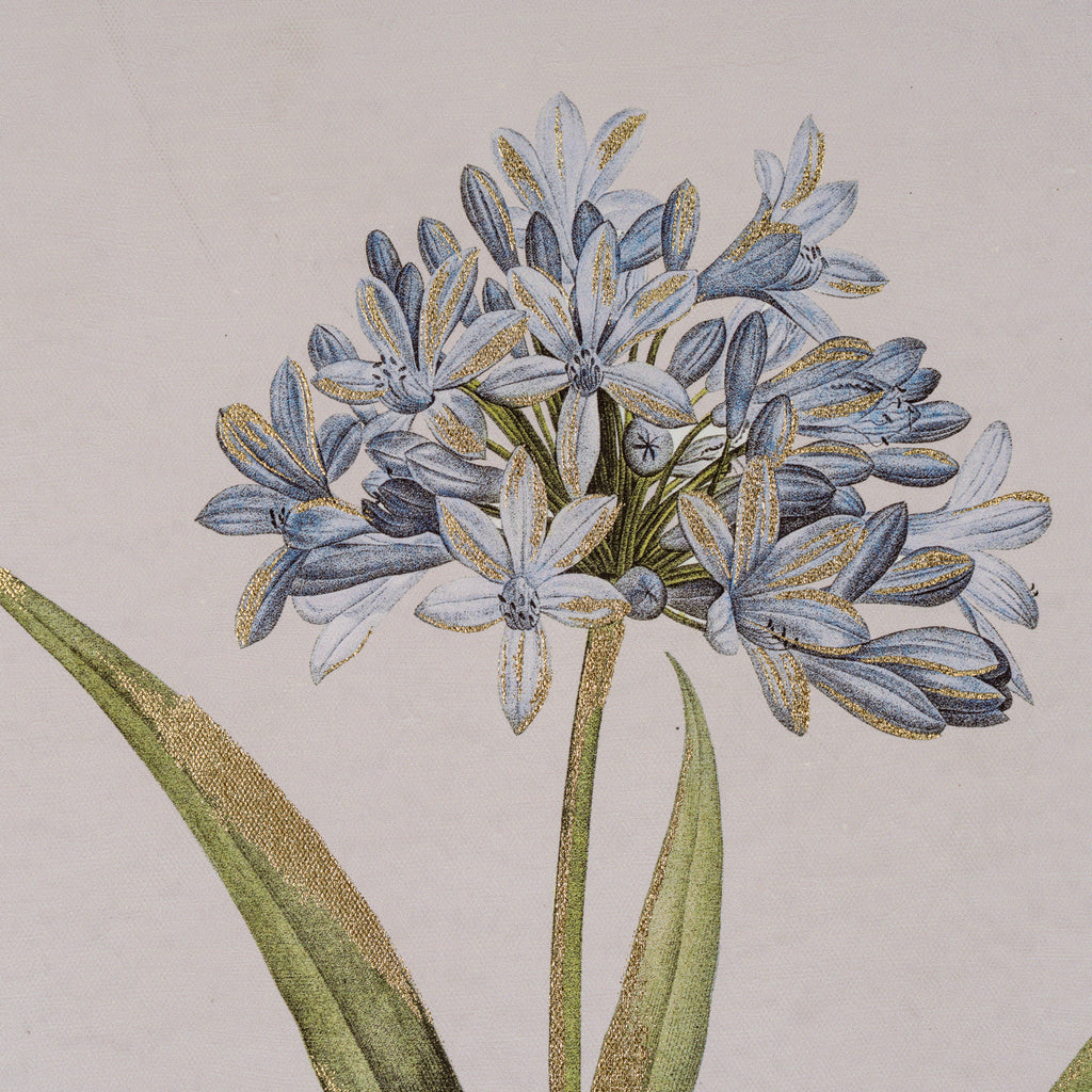 Flora & Fauna Collection Blue Wildflower in Frame
