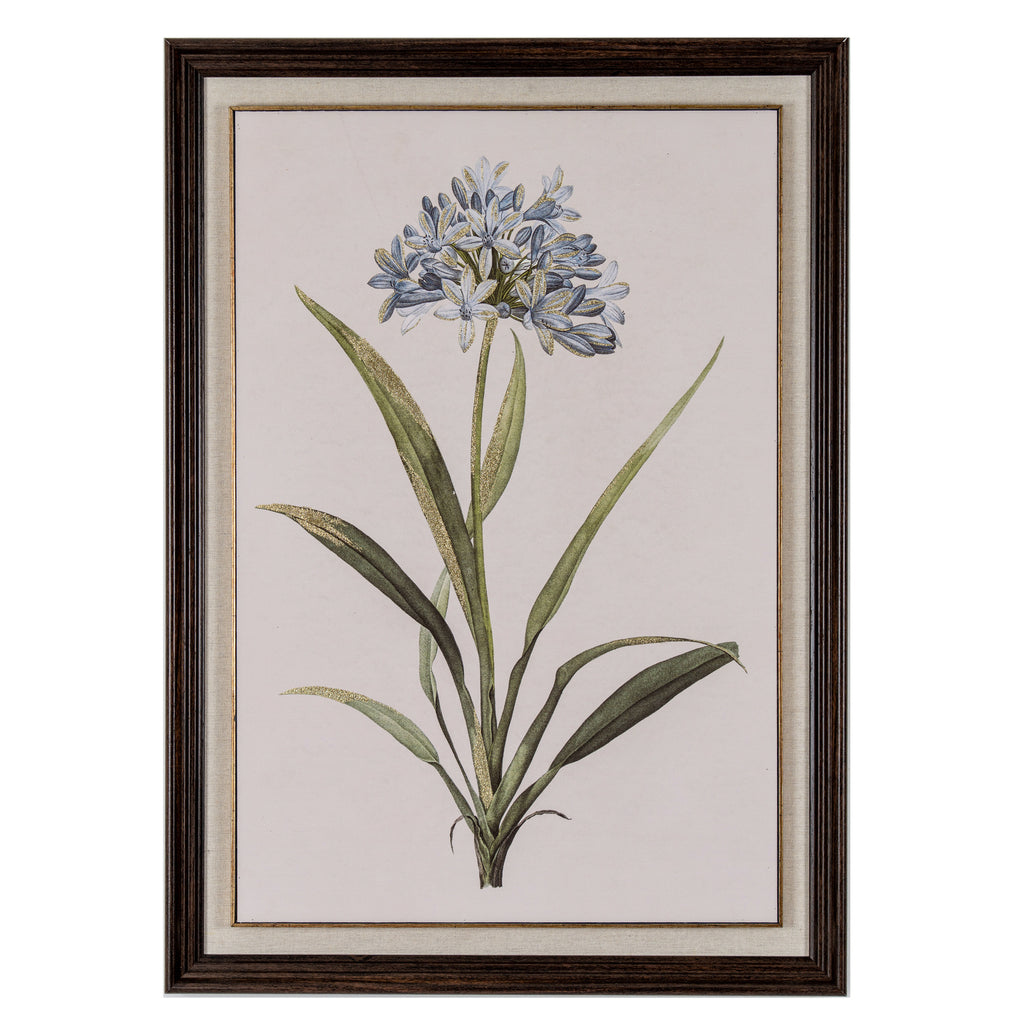 Flora & Fauna Collection Blue Wildflower in Frame