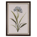 Flora & Fauna Collection Blue Wildflower in Frame