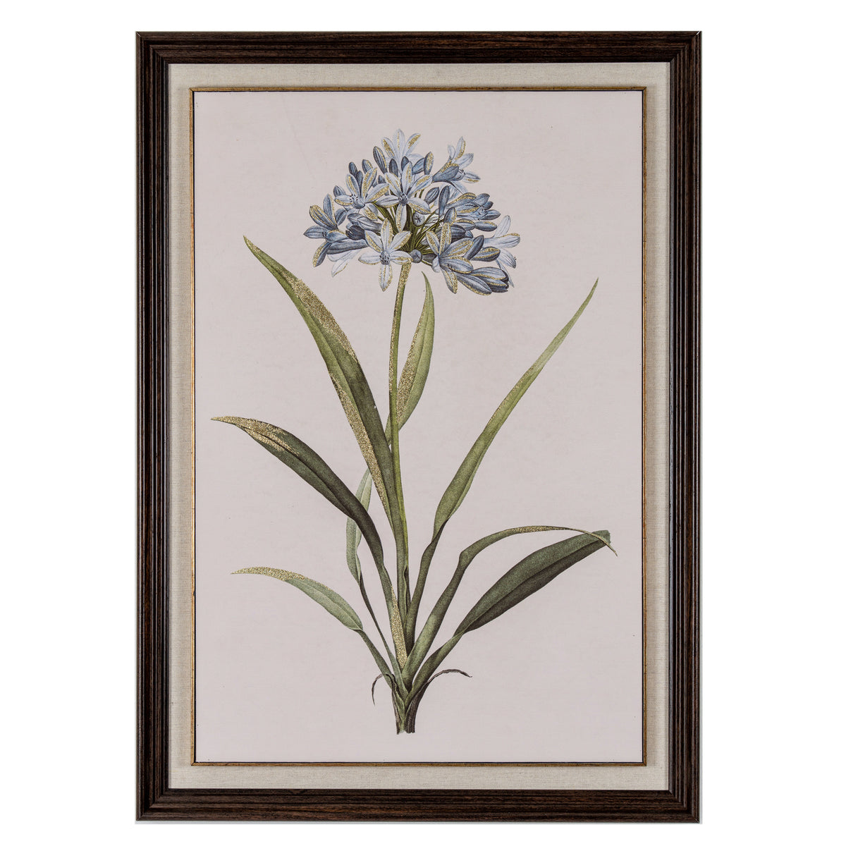 Flora & Fauna Collection Blue Wildflower in Frame