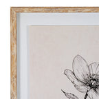 Sketchbook Hellebore in Frame