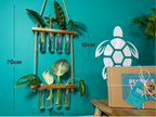 Plant Propagation Gift Set #4
