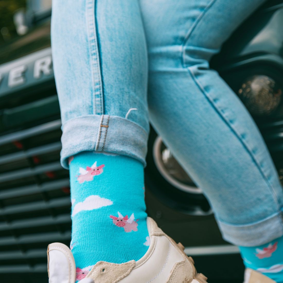 Flying Pig Bamboo-Blend Socks