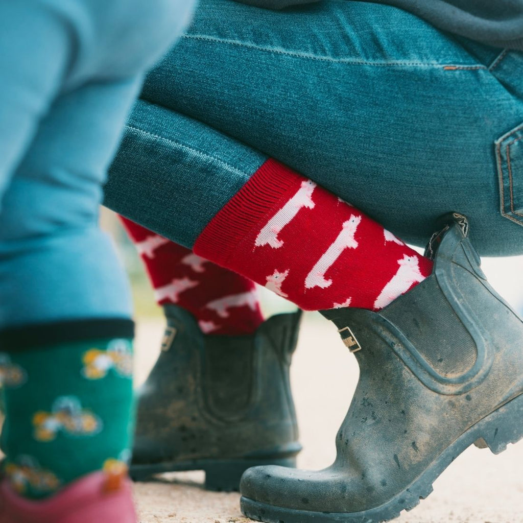 Pig Bamboo-Blend Socks