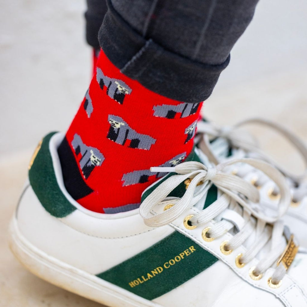 Everyday Bamboo-Blend Socks, Choice of Designs