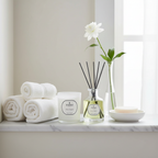 Parks Original 180g Candle & 100ml Diffuser Set
