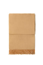 Beige Pashmina Shawl with Beaded Tassels