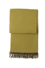 Khaki Pashmina Shawl with Beaded Tassels