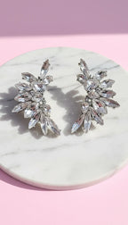 Winged Curve Crystal Stud Earrings