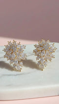 Clustered Crystal Drop & Dangle Earrings