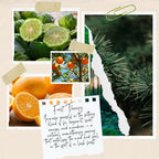 Forest Therapy Aromatherapy Perfume Oil