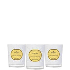 Vintage Aromatherapy Special Editions 50g 1 Wk X 3 Tuberose & Nutmeg