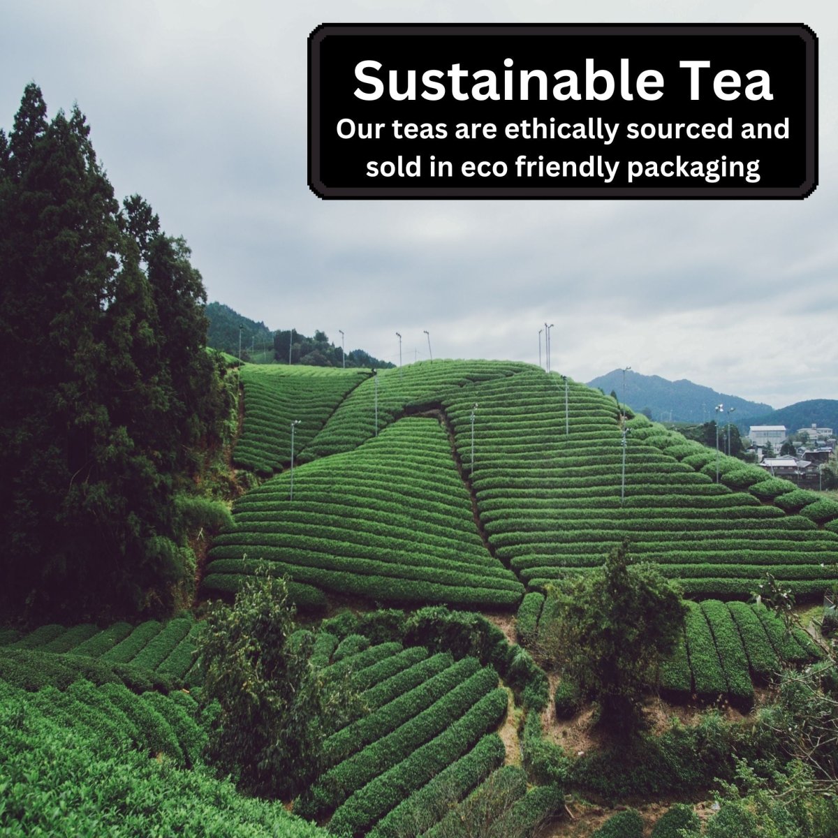Tea Gift Box, 3 Classic Tea Blends